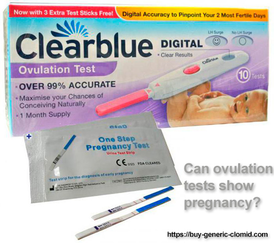 can ovulation tests show pregnancy