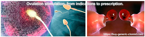 ovulation stimulation