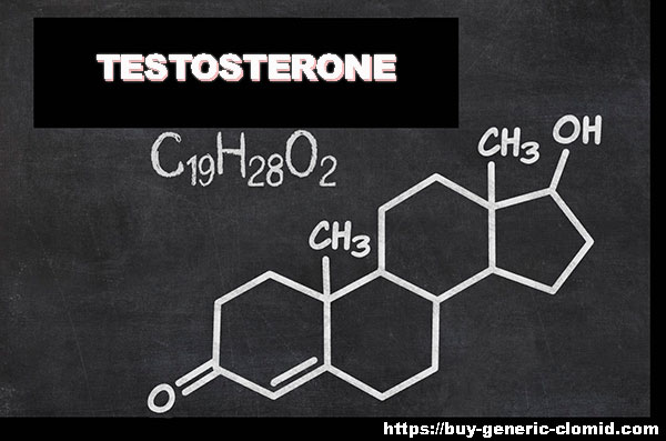 effect of testosterone
